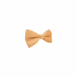Bowtie