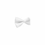 Bowtie