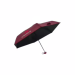 Pocket Umbrella